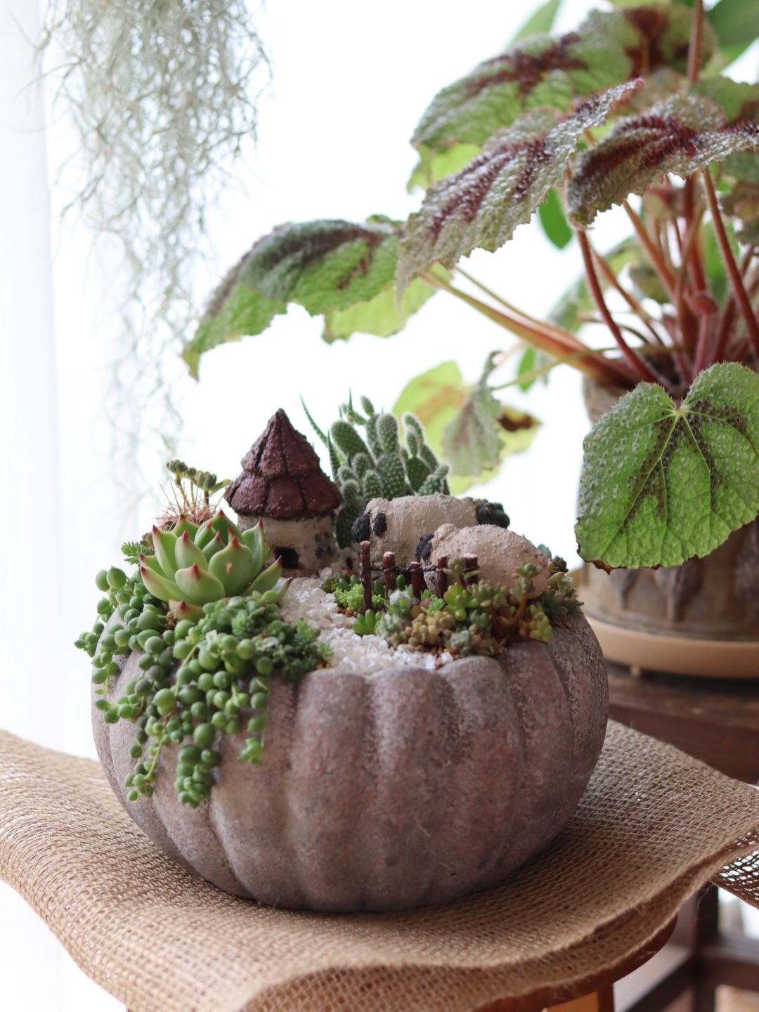 羊と小さな家を合わせた多肉植物の寄せ植え