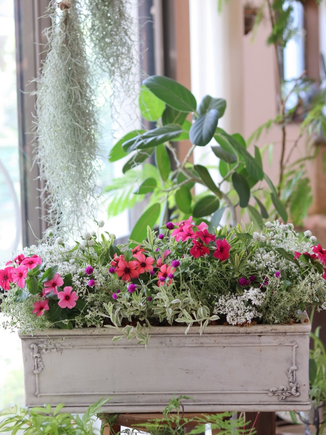 季節の花を組み合わせた寄せ植えの作品例